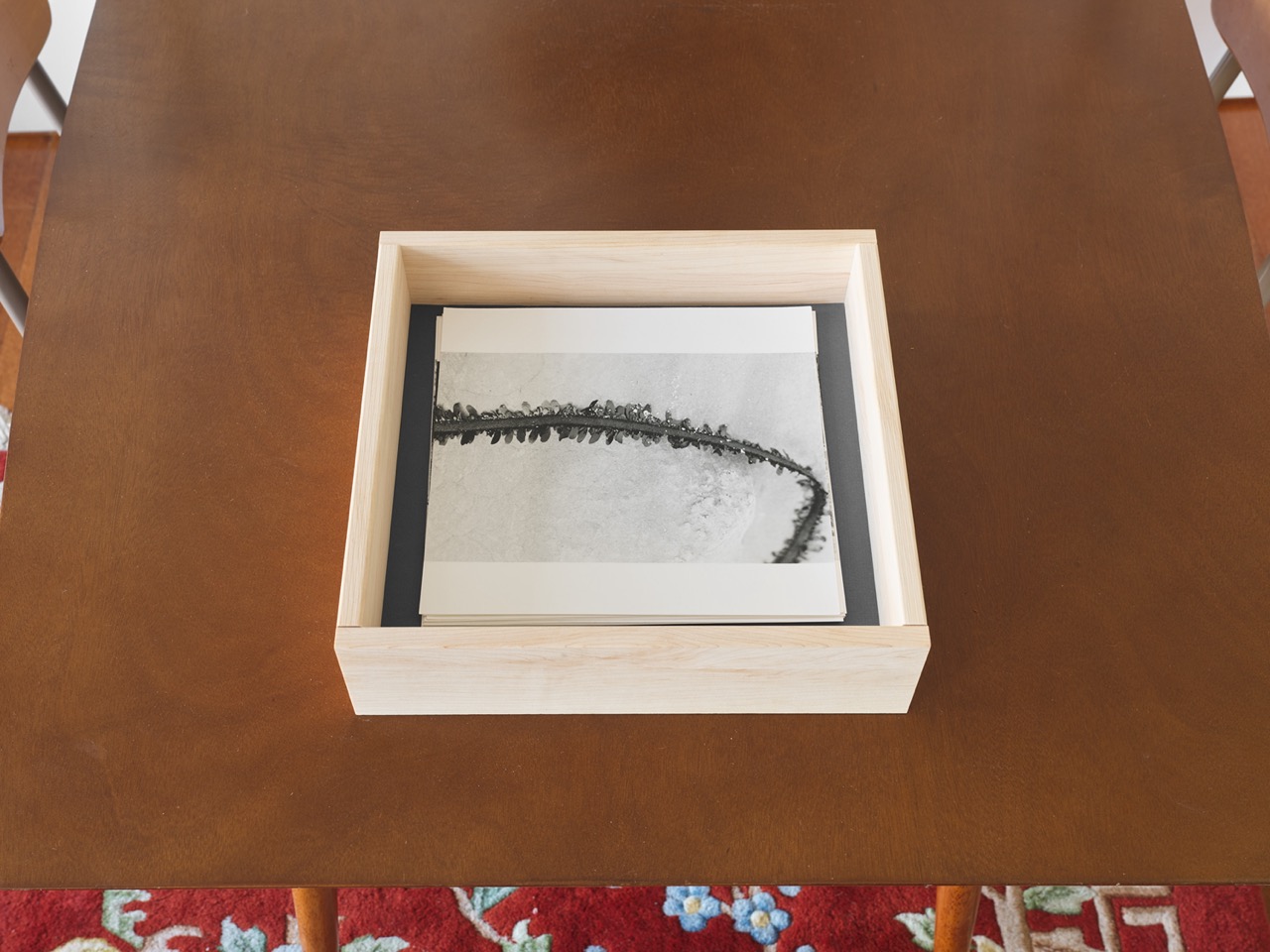 Current Exhibition Image 1